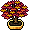 autumn_r19_maplebonsai_icon.png